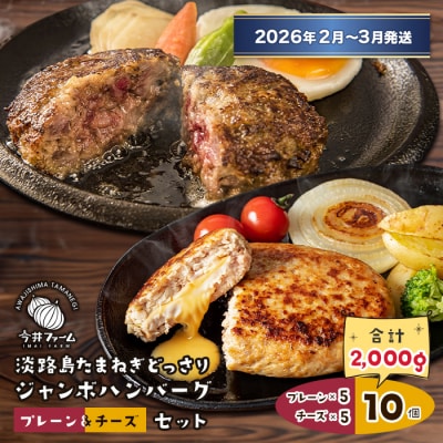 淡路島たまねぎどっさりジャンボハンバーグ プレーン&チーズセット 200g×10個　ai01122