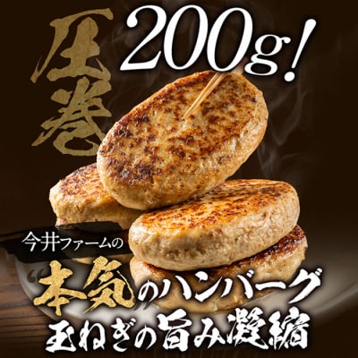 淡路島たまねぎどっさりジャンボハンバーグ プレーン&チーズセット 200g×10個　ai01885