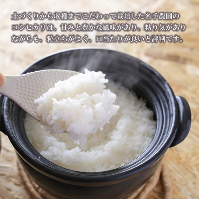 【定期便3ヶ月】名手農園の淡路島産コシヒカリ 10kg　an03019