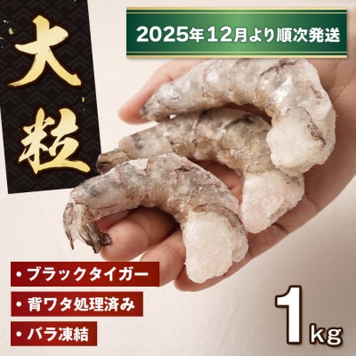 至福の大粒むきえび　背ワタ処理済 1kg【2025年12月より順次発送】　ao10010 | ふるさと納税のお礼品