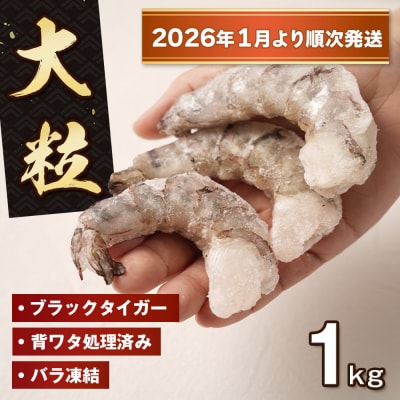 至福の大粒むきえび　背ワタ処理済 1kg【2026年1月より順次発送】　ao10011