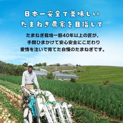 淡路島たまねぎの皮ブレンド茶 ティーバッグ 90包　ai01081