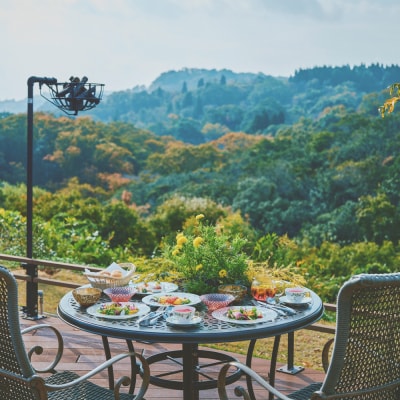 Auberge フレンチの森 宿泊利用券 1泊2食付き ペアチケット　ap01843