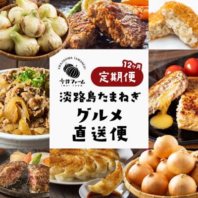 【定期便12ヶ月】今井ファームの淡路島たまねぎグルメ直送便　ai01882