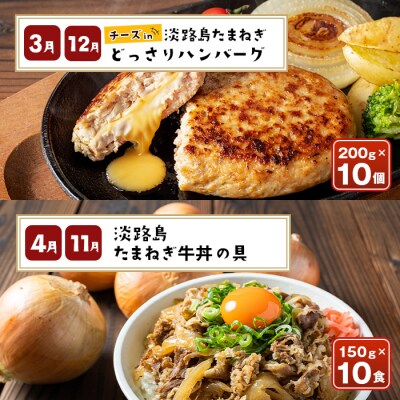 【定期便12ヶ月】今井ファームの淡路島たまねぎグルメ直送便　ai01882