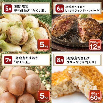 【定期便12ヶ月】今井ファームの淡路島たまねぎグルメ直送便　ai01882