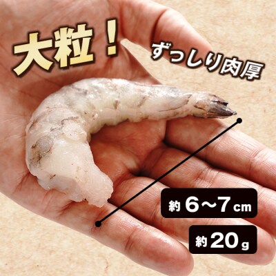 【定期便6ヶ月】至福の大粒むきえび　背ワタ処理済 1kg　ao10005