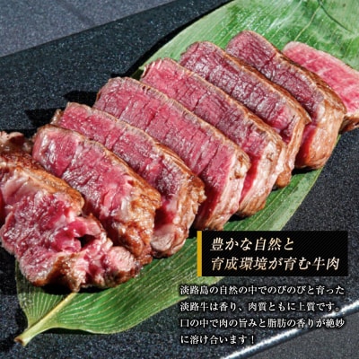 淡路牛 ヒレ(ステーキ用) 800g　ap01856