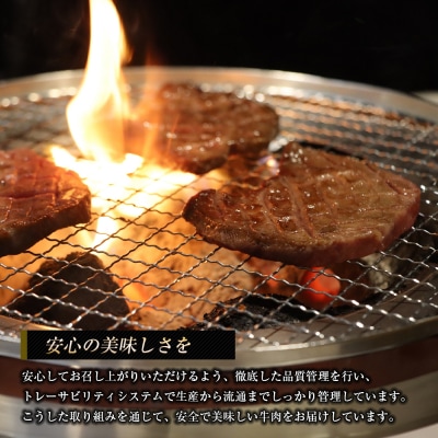 淡路牛 ロース(焼き肉用) 1kg　ap01063