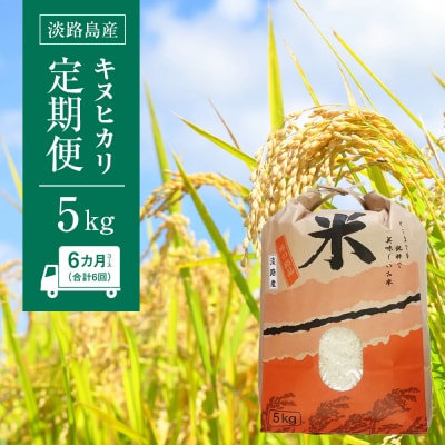 淡路島産　キヌヒカリ　5kg　定期便(6回)　ap01068