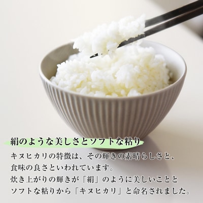淡路島産　キヌヒカリ　5kg　定期便(6回)　ap01068