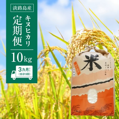 淡路島産　キヌヒカリ　10kg　定期便(3回)　ap01071