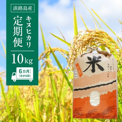 淡路島産　キヌヒカリ　10kg　定期便(6回)　ap01072