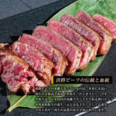 淡路ビーフ ヒレ(ステーキ用) 800g　ap01046
