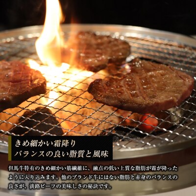 淡路ビーフ ロース(焼き肉用) 800g　ap01052