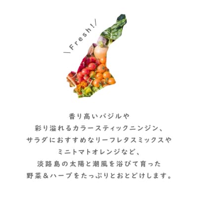 【定期便】彩り野菜と香るハーブセット　3回お届け野菜セット　ah11804