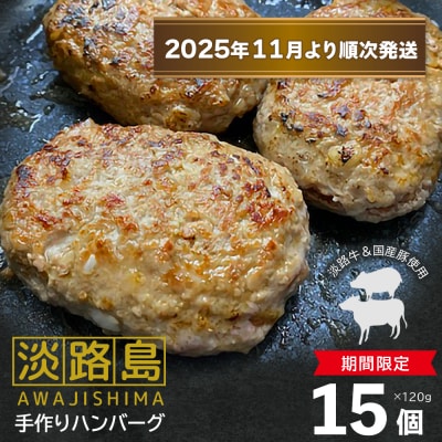 【数量限定】淡路島手作りハンバーグ 15個【2025年11月より順次発送】　an07047