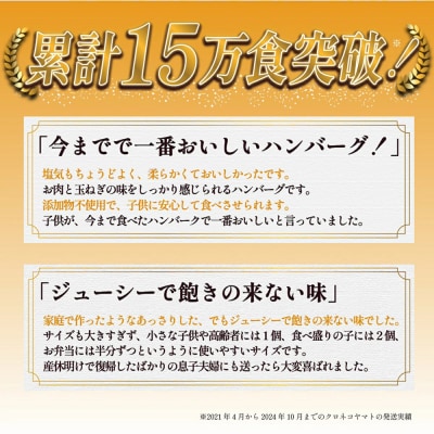 【数量限定】淡路島手作りハンバーグ 15個【2026年11月より順次発送】　an07071
