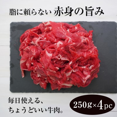 淡路牛 赤身切り落とし 1kg(250g×4PC)【2026年12月より順次発送】　ah14126