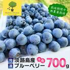 【淡路島産】大粒ブルーベリー 700g 冷凍生果《栽培期間中、無農薬栽培》　ab11002