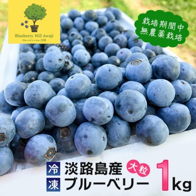 【淡路島産】大粒ブルーベリー 1kg 冷凍生果《栽培期間中、無農薬栽培》　ab11001