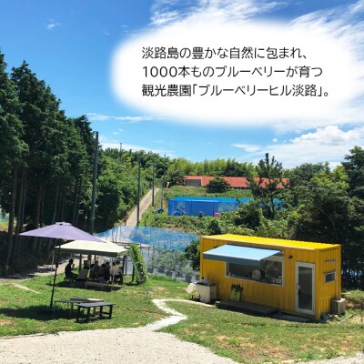 【淡路島産】大粒ブルーベリー 1kg 冷凍生果《栽培期間中、無農薬栽培》　ab11001