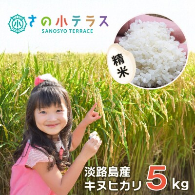 令和7年度 淡路島産キヌヒカリ 5kg (精米)　as30007