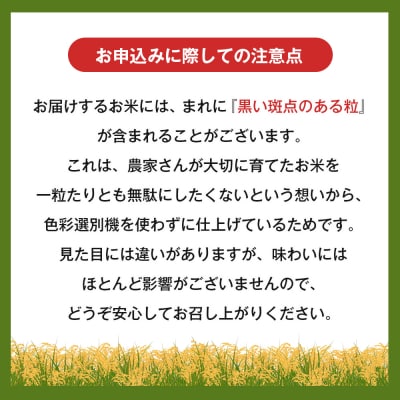 令和7年度 淡路島産キヌヒカリ 5kg (精米)　as30008