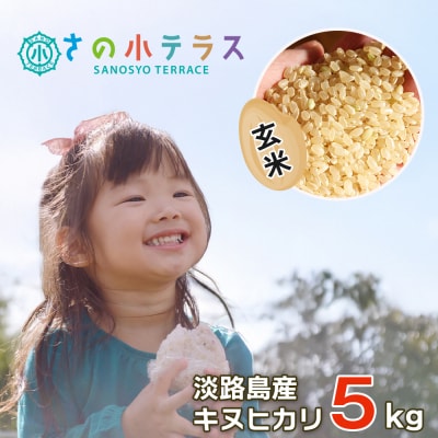淡路島産キヌヒカリ 5kg (玄米)　as30002