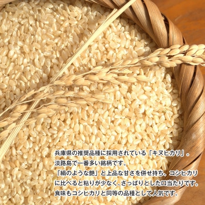 淡路島産キヌヒカリ 10kg (玄米)　as30004