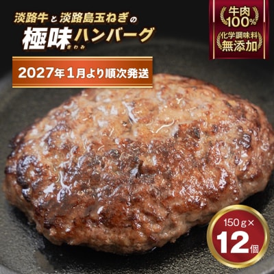 淡路島 極味ハンバーグ 150g×12個【2027年1月より順次発送】　ao05179