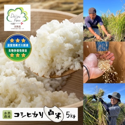 自然栽培　コシヒカリ(白米)　5kg　aw03013