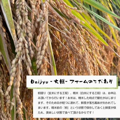 自然栽培　コシヒカリ(白米)　5kg　aw03002