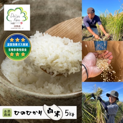 自然栽培　ひのひかり(白米)　5kg　aw03015