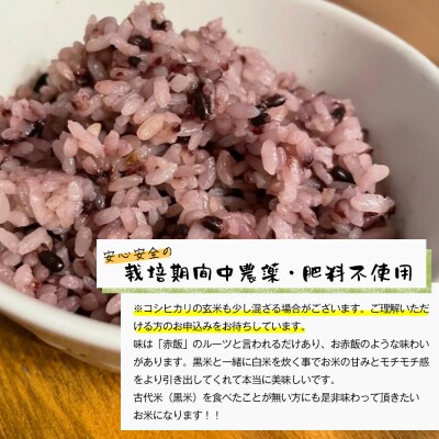 古代米(黒米)　希少!栽培期間中農薬・肥料不使用 1kg(500g×2PC)　aw03007
