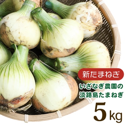 yV܂˂zȂ_̒WH܂˂ 5kgy5z@ai02003