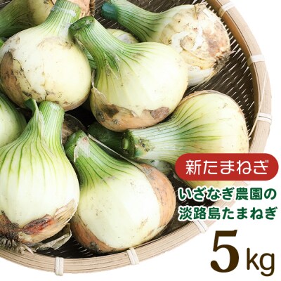【新たまねぎ】いざなぎ農園の淡路島たまねぎ 5kg【発送時期5月頃】　ai02005