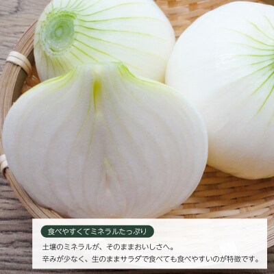 【新たまねぎ】いざなぎ農園の淡路島たまねぎ 5kg【発送時期5月頃】　ai02003