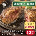 淡路島たまねぎどっさりジャンボハンバーグ200g×12個【令和7年11月～12月発送】ai01104
