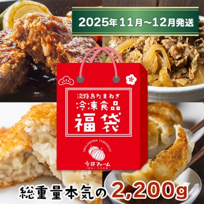 今井ファームの冷凍食品お楽しみ福袋【2025年11月～12月発送】　ai01115