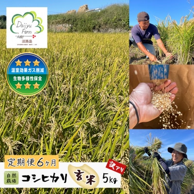 【定期便6ヶ月】自然栽培　コシヒカリ(玄米)　5kg 《無選別品のため訳アリ》　aw03008