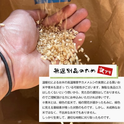 【定期便6ヶ月】自然栽培　コシヒカリ(玄米)　5kg 《無選別品のため訳アリ》　aw03008