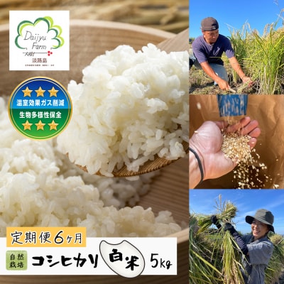 【定期便6ヶ月】自然栽培　コシヒカリ(白米)　5kg　aw03018