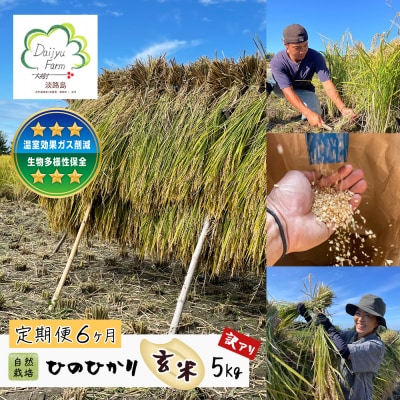 【定期便6ヶ月】自然栽培　ひのひかり(玄米)　5kg 《無選別品のため訳アリ》　aw03020