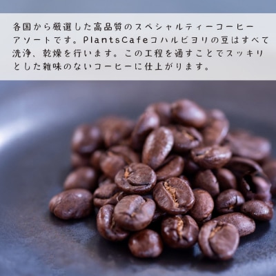 スペシャルティーコーヒーアソート6種類　(200g×6)豆のまま1.2kg　ap06020