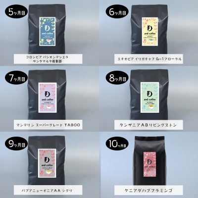 【定期便10ヶ月】スペシャルティーコーヒー定期便(豆200g×2種×10回)計4kg　ap06021
