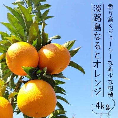淡路島なるとオレンジ 4kg 【発送時期2026年3月～4月】　an13002