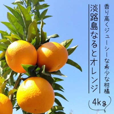 淡路島なるとオレンジ 4kg 【発送時期3月～4月】　an13003