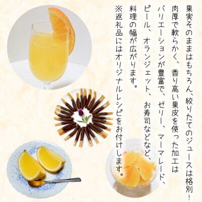 淡路島なるとオレンジ　4kg 【発送時期3月～4月】　an13001