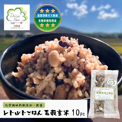 レトルトごはん(五穀玄米) 10パックセット 化学調味料無添加・無菌　aw03005